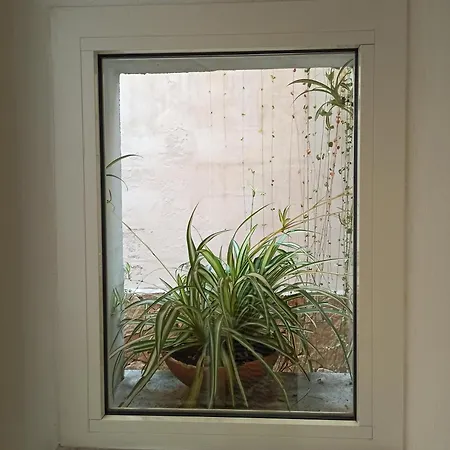 Citta Giardino B&B-2
