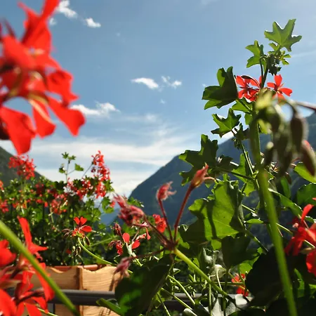 Hotell Millefiori- Alpine Event Lodge-3