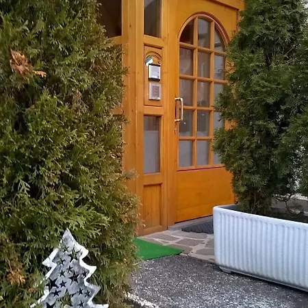 Alpen Hotel Rabbi-2