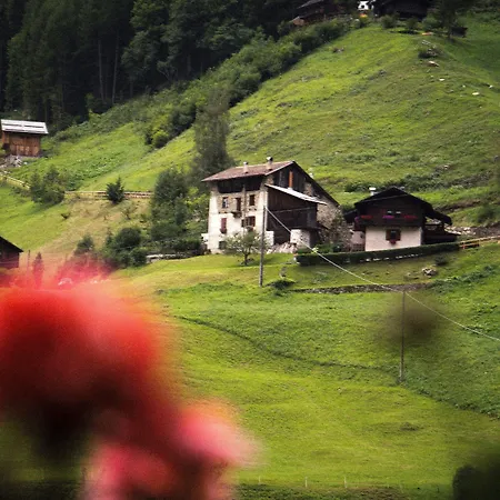 Alpen Hotel Rabbi-3