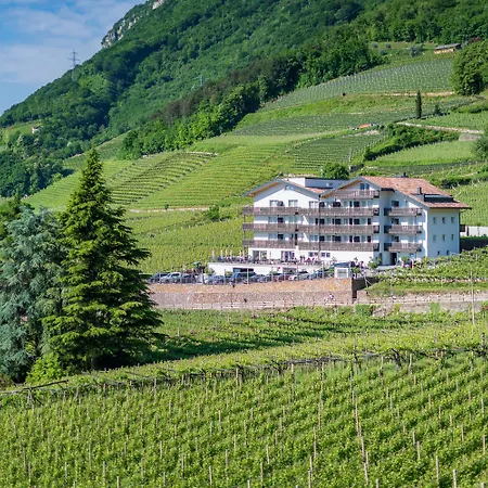 Residence Garni Hotel Vineus-2