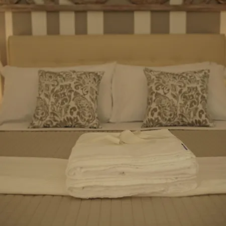 Dimi House-2