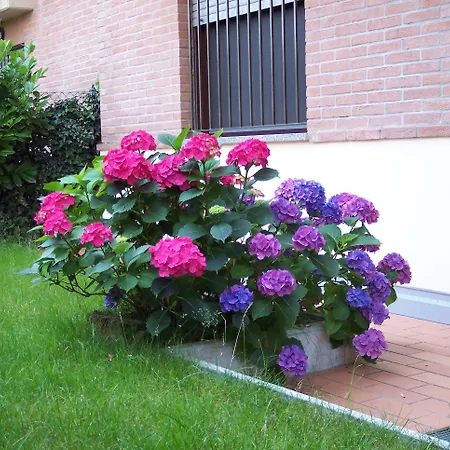 B&B Il Parco-3