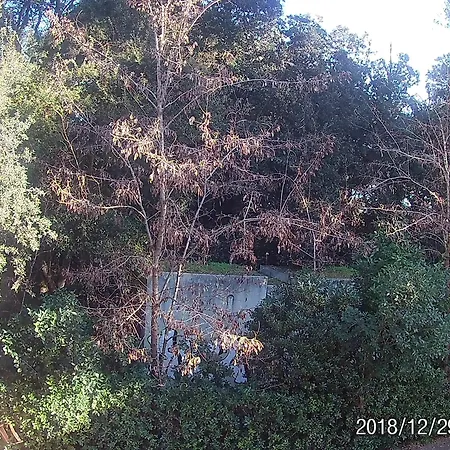 La casa di Nataly-3