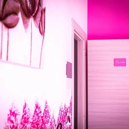 Colors B&B-3