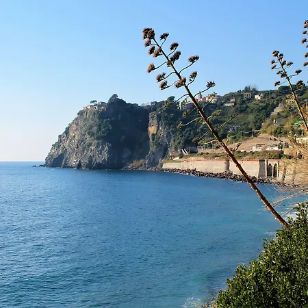 Affittacamere Golfo Della Luna-3