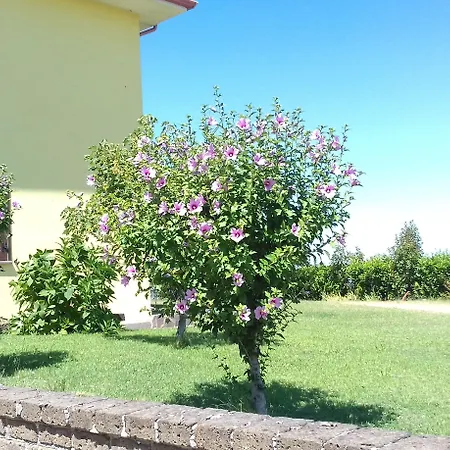 Agriturismo Le Quattro Stagioni-2