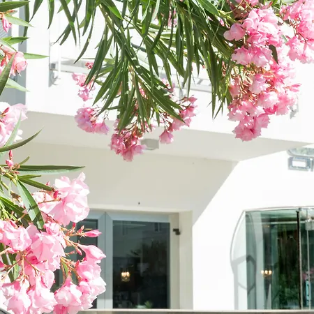 The One Hotel - Designed For Adults - Pet Lovers-2