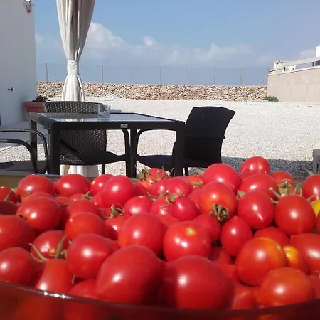 Masseria Centro Colonico B&B-3