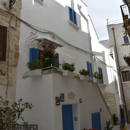 B&B Prestige-3