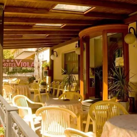 Hotel Viola-3