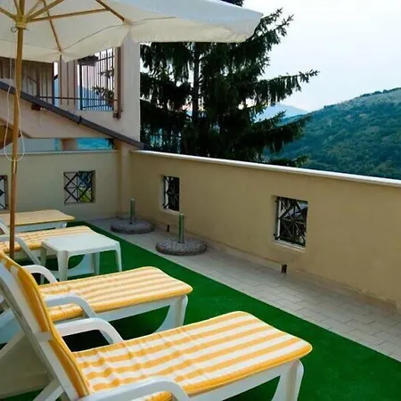 Hotel Viola-2