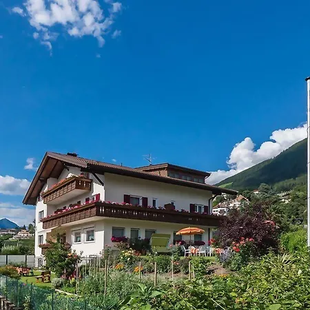 Guesthouse Pension Grafenstein-2