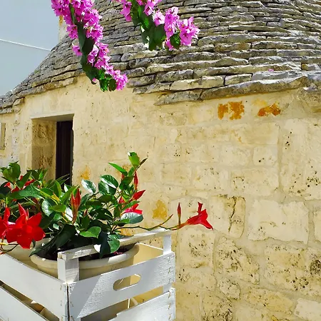 Trulli Antica Fonte-2