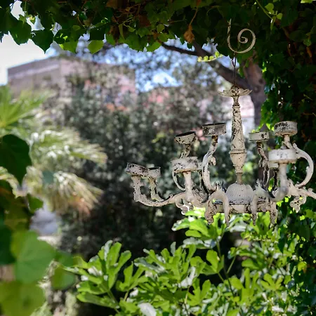 Giardino Segreto - Via Foria 216 Ammezzato-2
