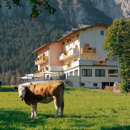 Hotel Fai-3