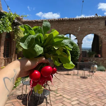 B&B Osteria Del Vicario-3