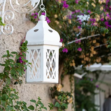B&B Orto Paradiso-3