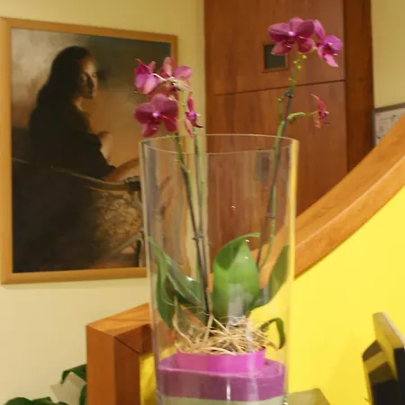 Hotel Sabo'-3