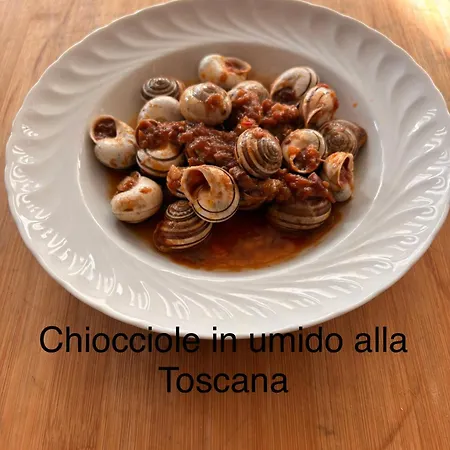 Villa Orsini - A Retreat In Pisa - Food And Relax-3