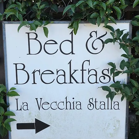 La Vecchia Stalla B&B-2