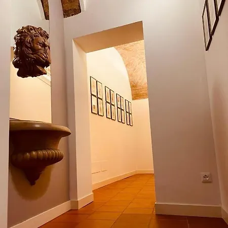 Palazzo Borgocolonne Apartments-3