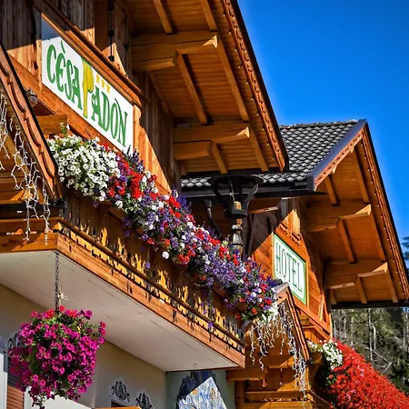 Hotel Cesa Padon-3