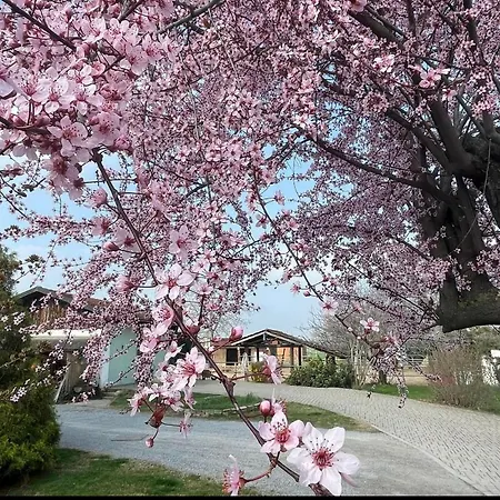 B&B Cm Ranch-2