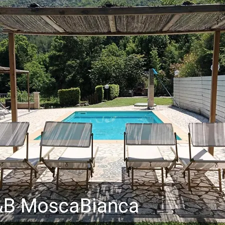 B&B Mosca Bianca-3