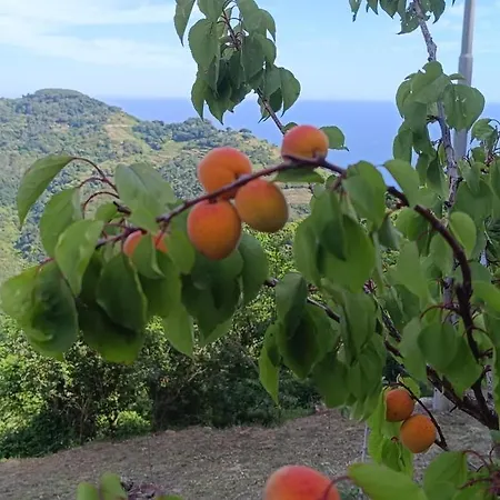 La Quiete Accesa-3