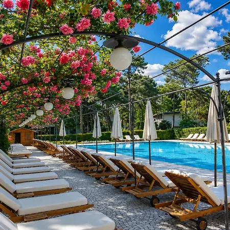 Hotel Greif-2