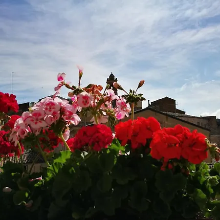 B&B L'Angelica-3