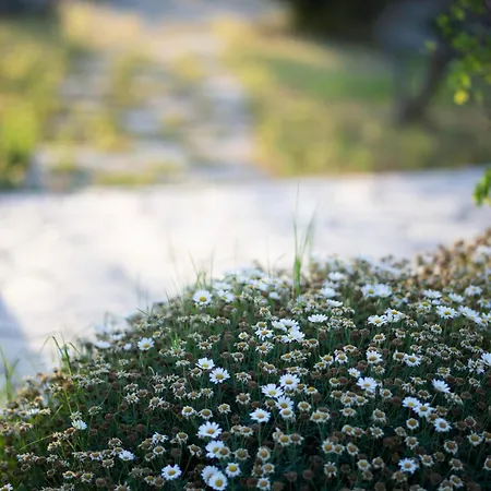 Casale Del Murgese Country Resort-3