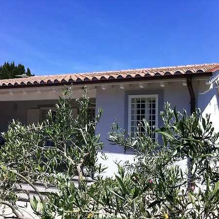 Skipper White Guest House-3