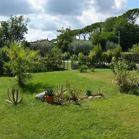 Belfiore B&B-2