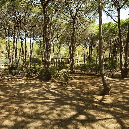 Villaggio Camping Spiaggia Del Riso-3