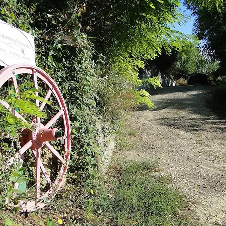 La Capanna Di Sovestro-3