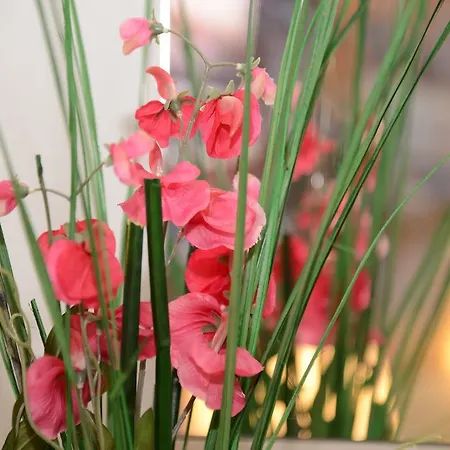 B&B Europa-3