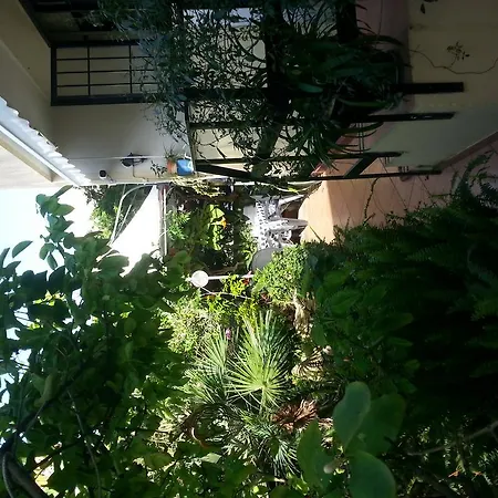 B&B Mare E Sole-2