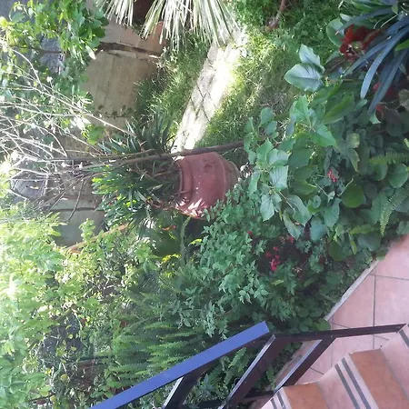 B&B Mare E Sole-3