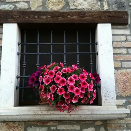 Agriturismo La Cantina-2
