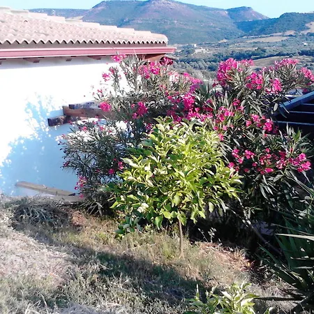 Affittacamere Valverde Di Naitana Rita-2
