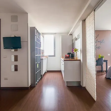 Bamboo B&B-3