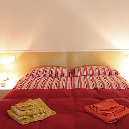 Pino Marittimo-3