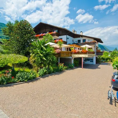 Hotel Traubenheim-3