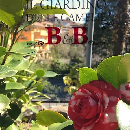 B&B Il Giardino Delle Camelie-3