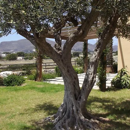 Il Giardino delle Aloe-3