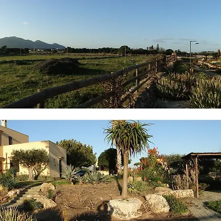 Il Giardino delle Aloe-2