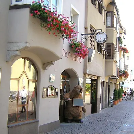 Hotel Grauer Bär-2