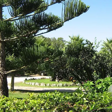 Tenuta Paifer-2